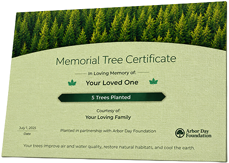 Plant Trees in Memory of Travis “Cali” Caruthers